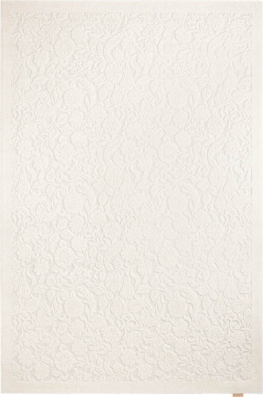 64556
